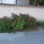 Rupine Premantura