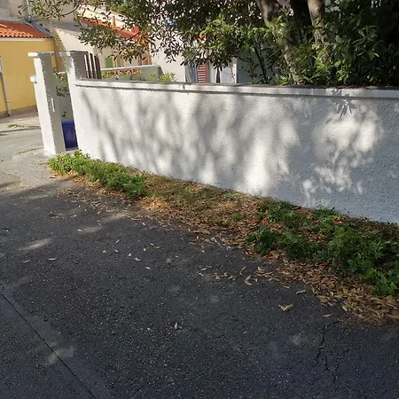 Rupine פרמנטורה