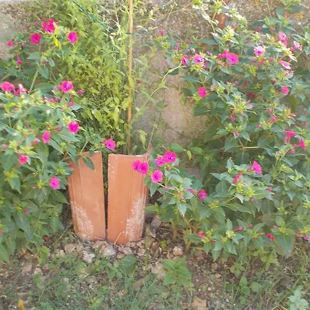 Rupine פרמנטורה