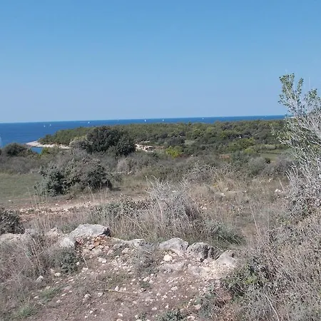 Rupine פרמנטורה