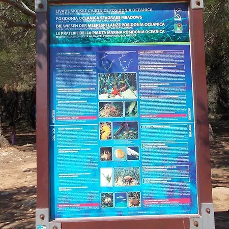 Rupine 2* פרמנטורה