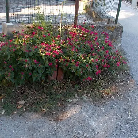 בית הארחה Rupine