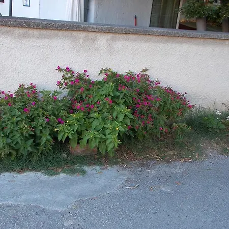 Rupine Premantura