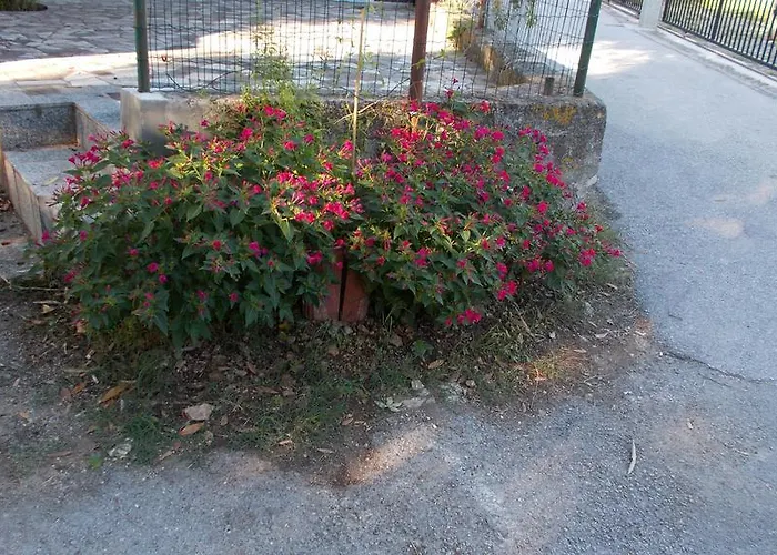Gasthuis Rupine