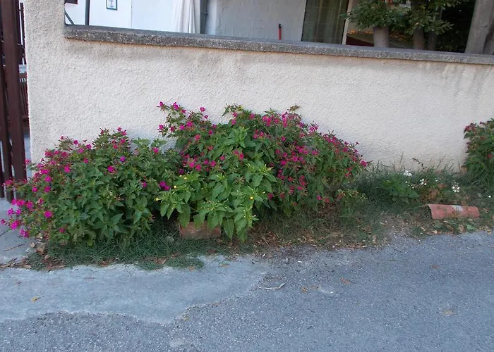 Rupine Premantura
