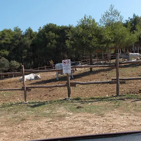 Rupine Gostinjska kuća Premantura