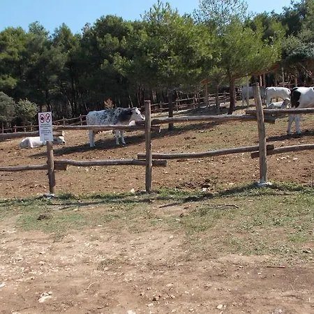 Rupine Gostinjska kuća