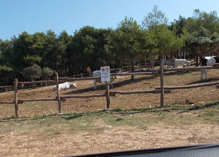 Rupine Gasthof Premantura