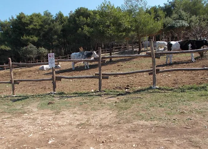 Rupine Affittacamere