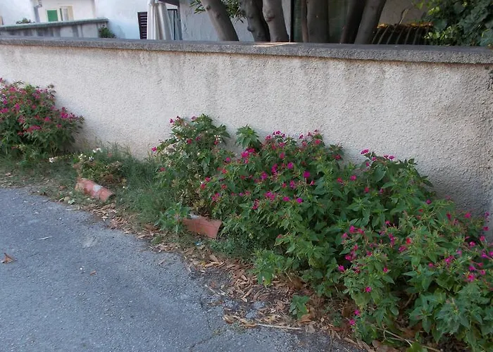 Rupine Affittacamere 2*